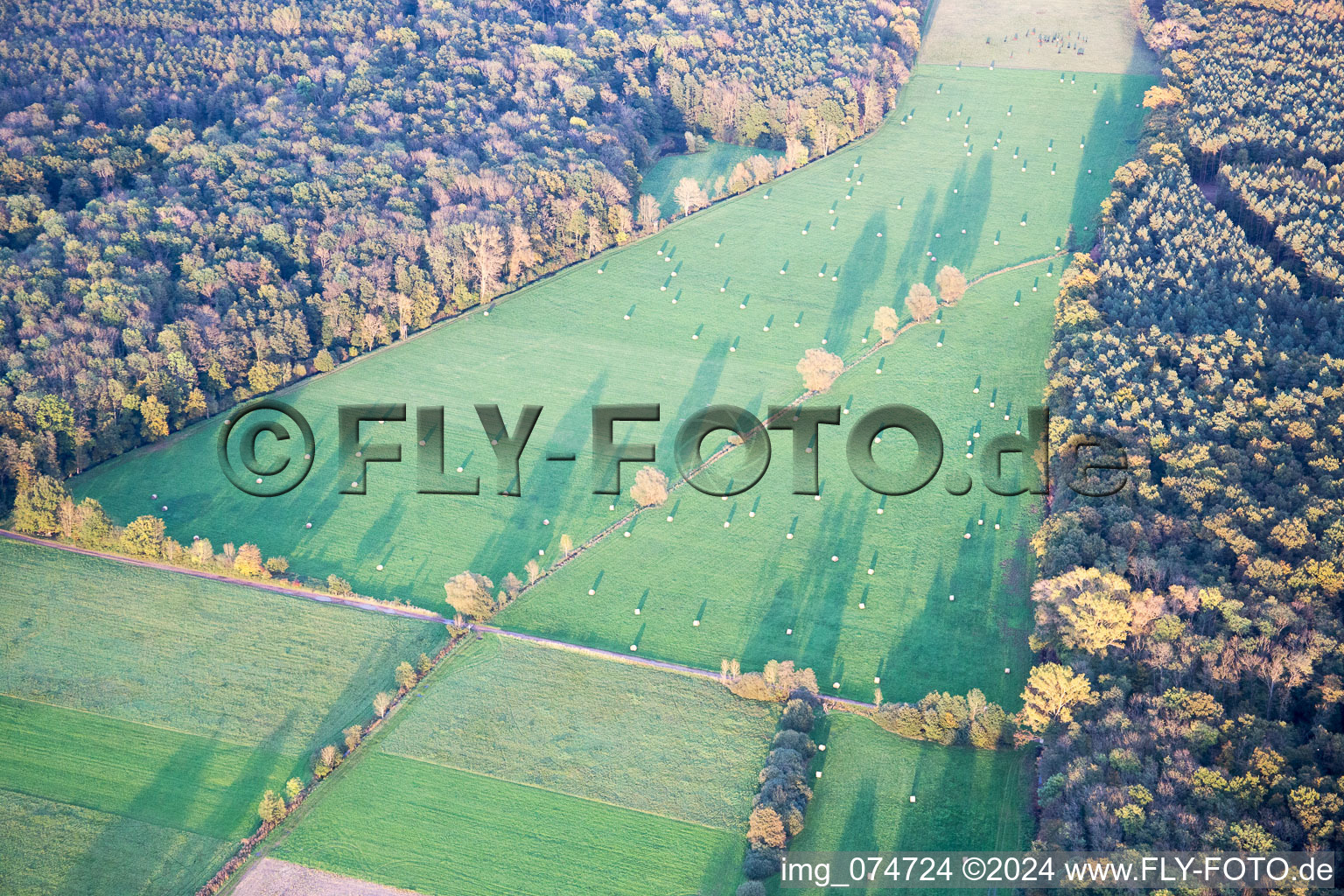 Structures of a meadow landscape of the creek Otterbach between the forest Bienwald in Kandel in the state Rhineland-Palatinate