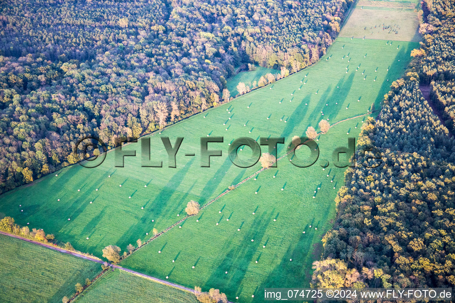 Minfeld in the state Rhineland-Palatinate, Germany seen from above