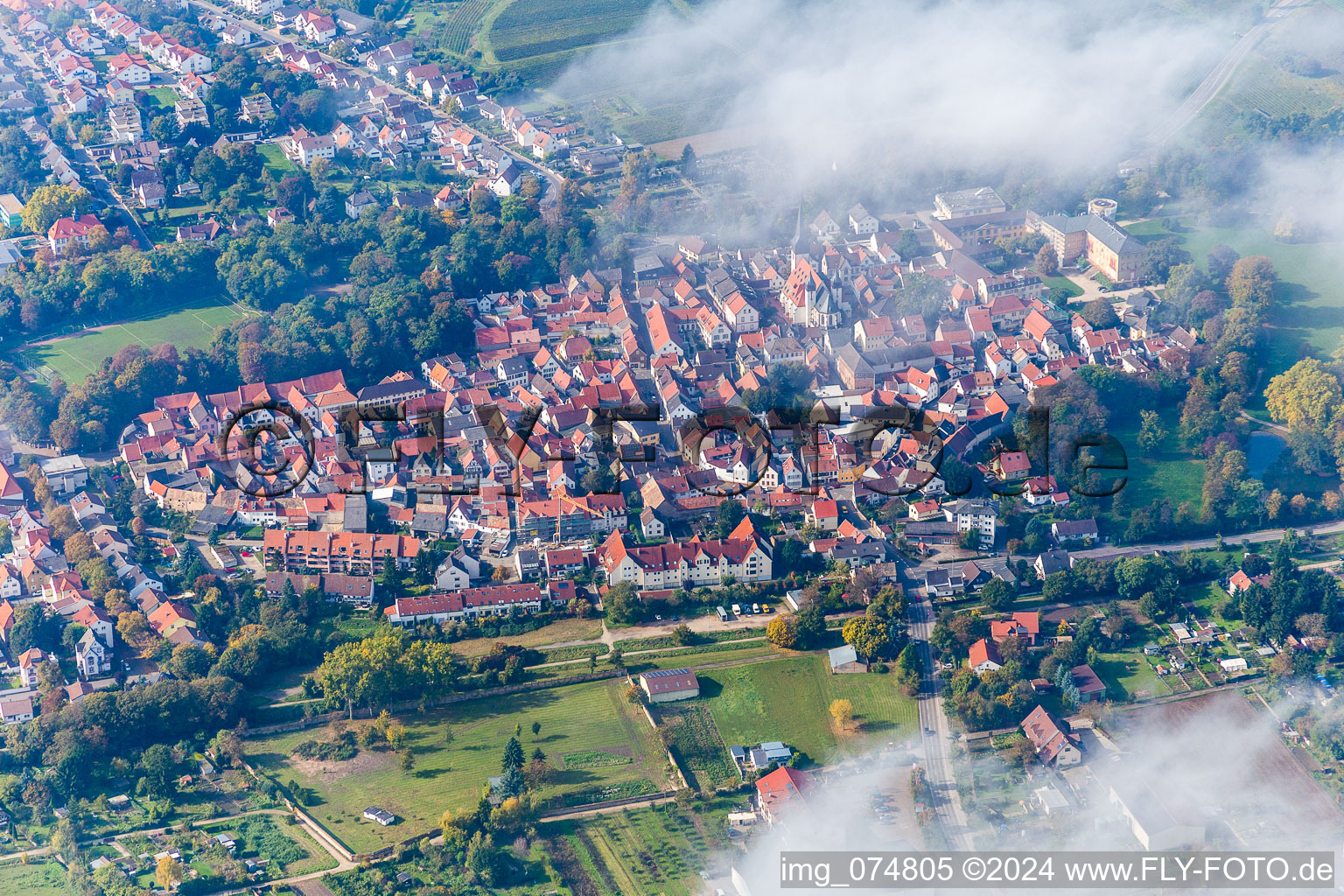 Village view in the district Herrnsheim in Worms in the state Rhineland-Palatinate, Germany