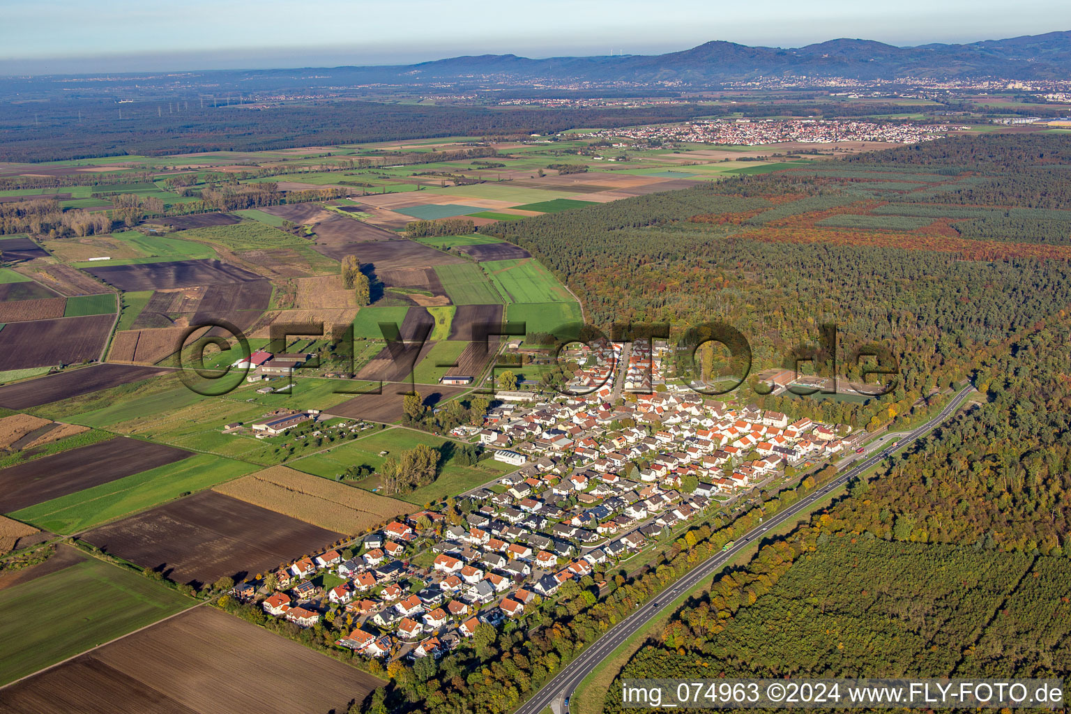 Aerial view of District Riedrode in Bürstadt in the state Hesse, Germany