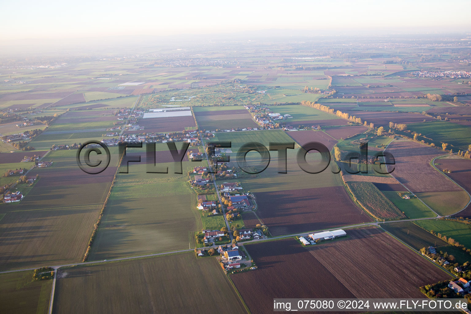 Common field in Gernsheim in the state Hesse, Germany