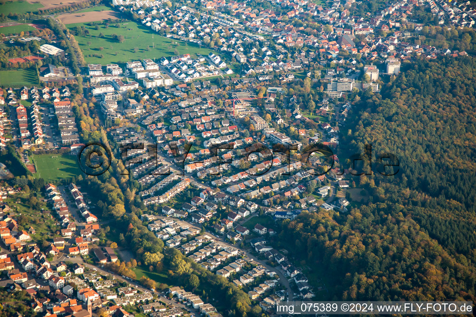 Waldring in the district Busenbach in Waldbronn in the state Baden-Wuerttemberg, Germany