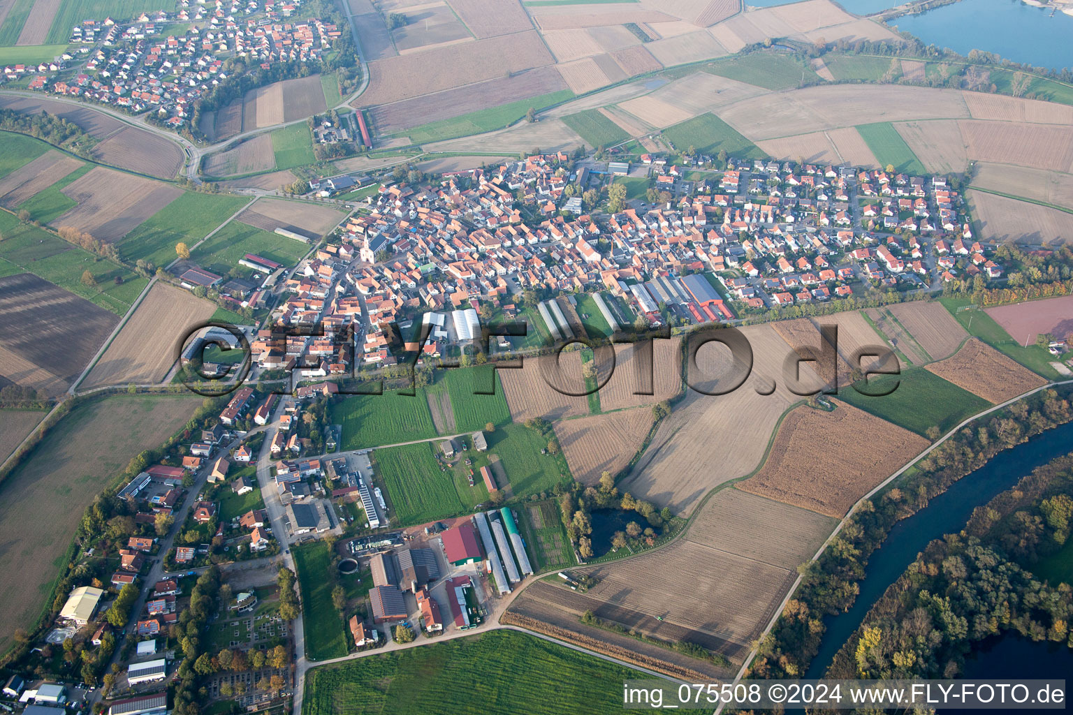 Neupotz in the state Rhineland-Palatinate, Germany out of the air