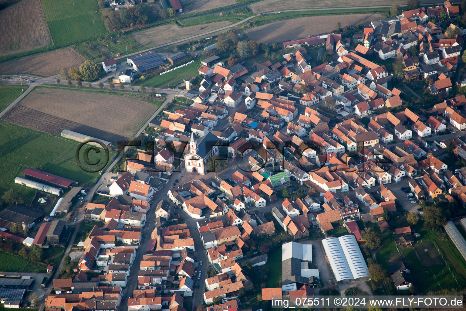 Neupotz in the state Rhineland-Palatinate, Germany seen from above