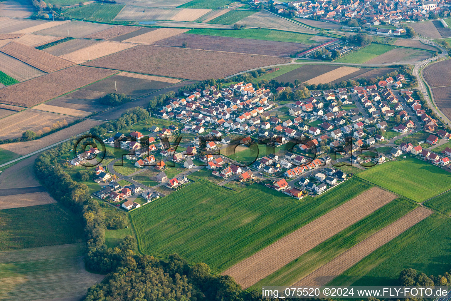 Drone recording of District Hardtwald in Neupotz in the state Rhineland-Palatinate, Germany