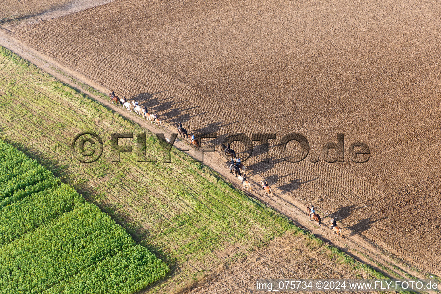 Group of riders on a path in Wintzenbach in Grand Est, France