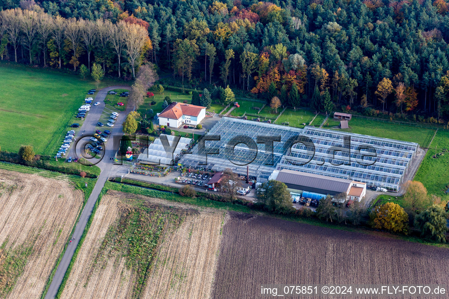 Glass roof surfaces in the greenhouse rows for catus growing culture in Steinfeld in the state Rhineland-Palatinate, Germany