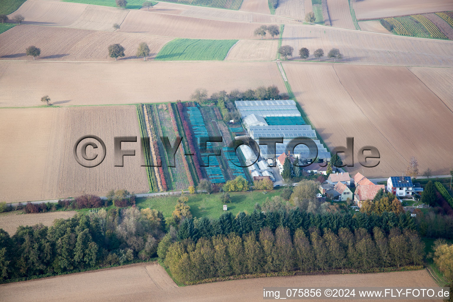 Gardening in Vollmersweiler in the state Rhineland-Palatinate, Germany