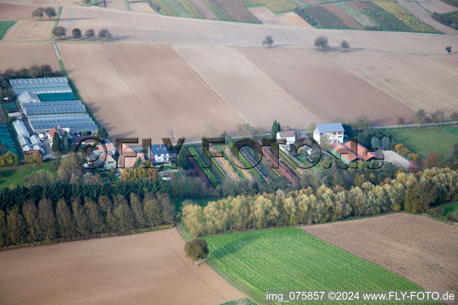 Aerial view of Gardening in Vollmersweiler in the state Rhineland-Palatinate, Germany