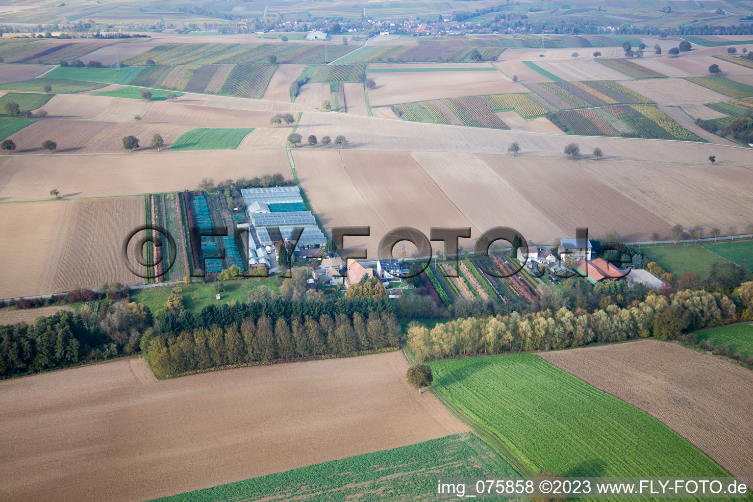 Aerial photograpy of Gardening in Vollmersweiler in the state Rhineland-Palatinate, Germany
