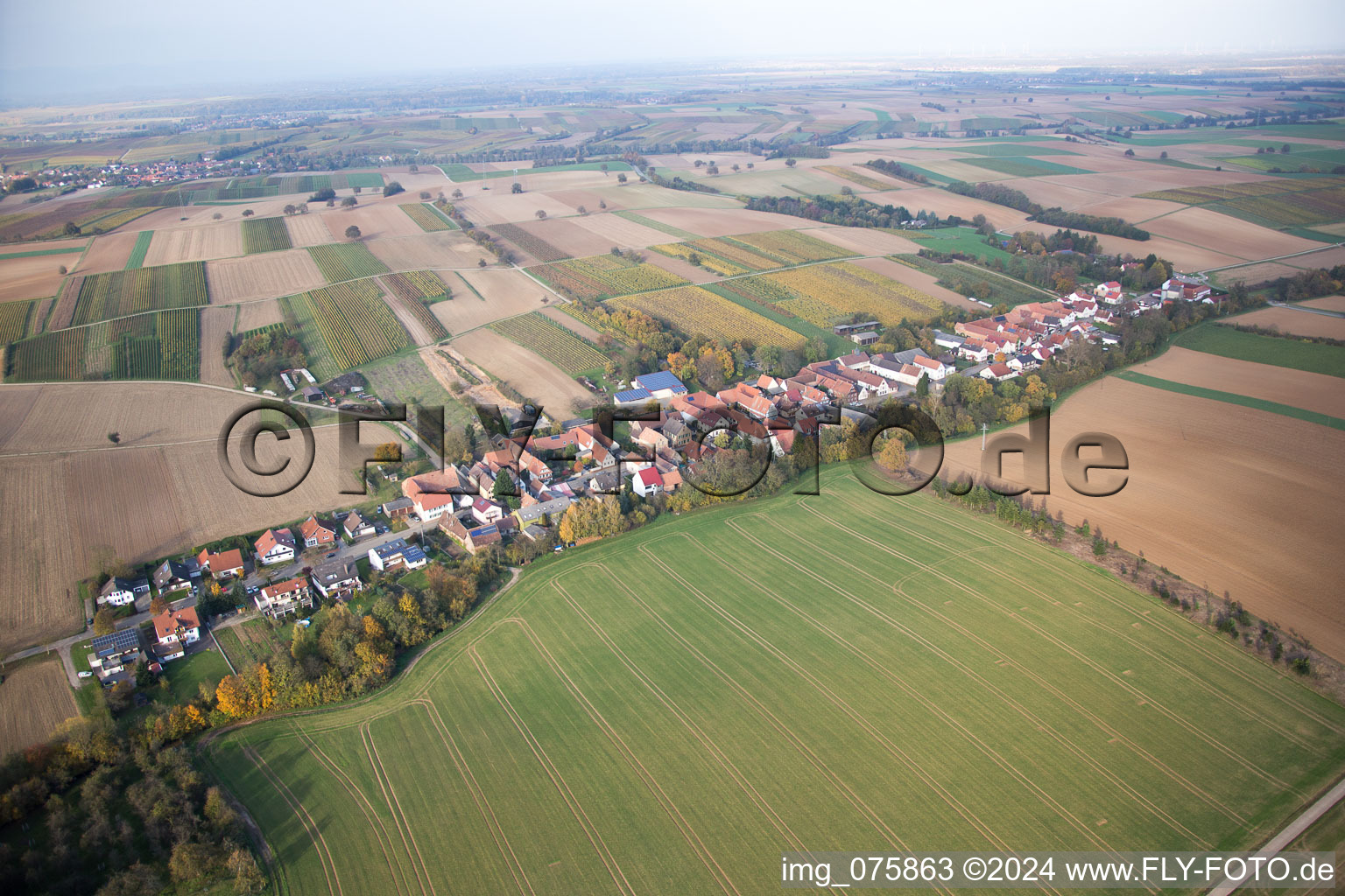 Bird's eye view of Vollmersweiler in the state Rhineland-Palatinate, Germany