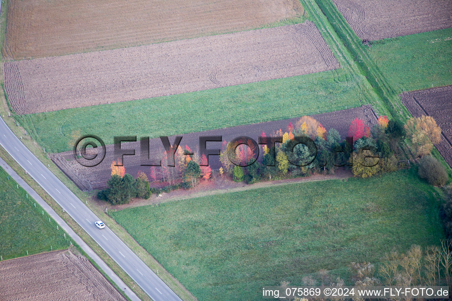 Drone recording of District Schaidt in Wörth am Rhein in the state Rhineland-Palatinate, Germany