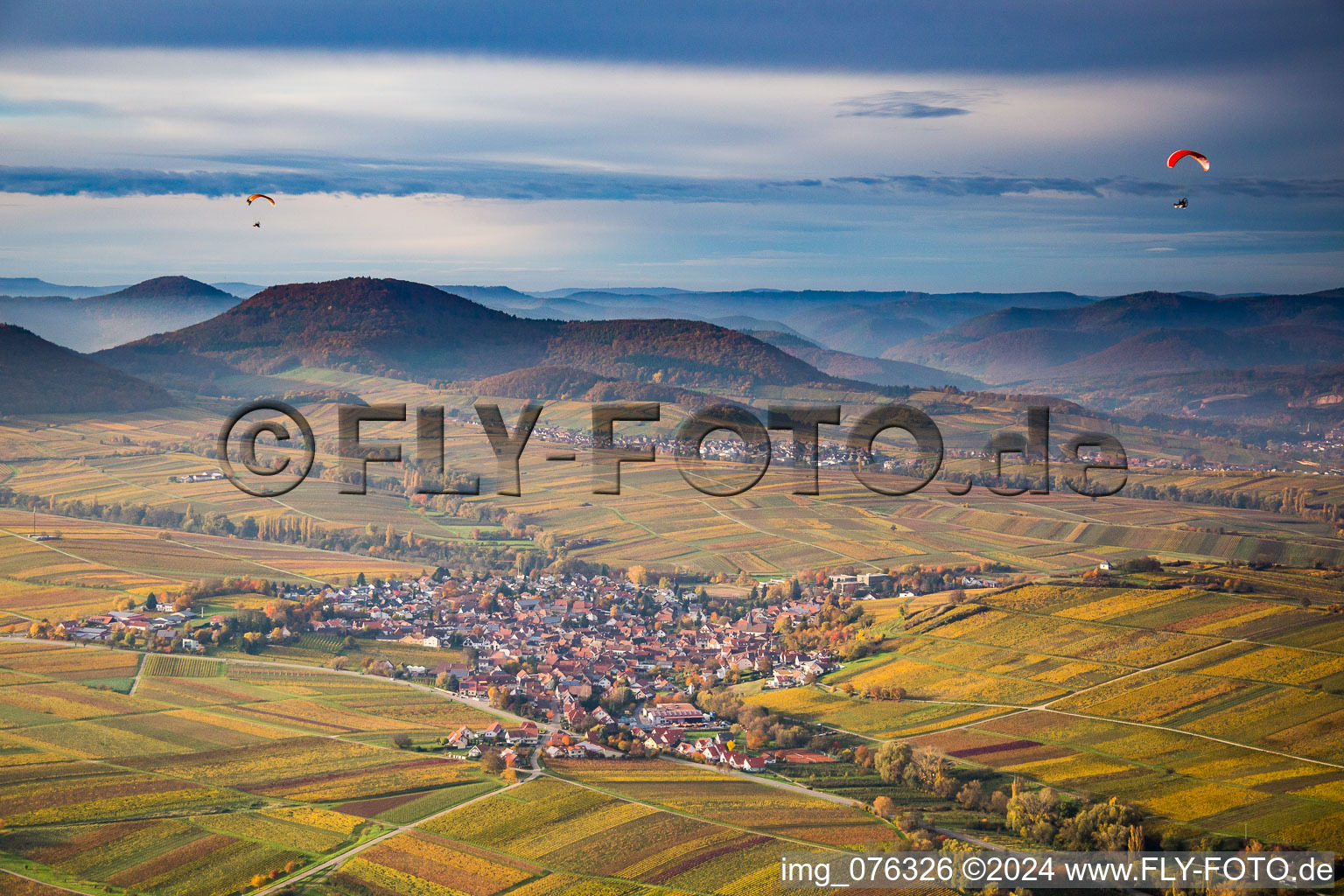 Fields of wine cultivation landscape with paragliders