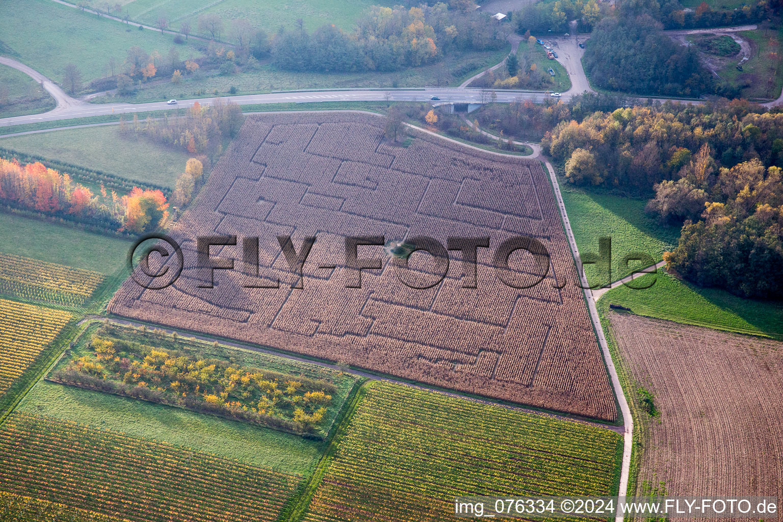 Maze - Labyrinth in a corn field in Goecklingen in the state Rhineland-Palatinate, Germany