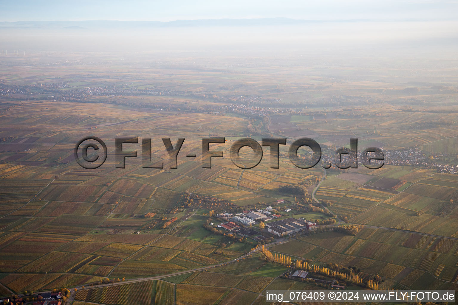 Aerial view of Large winery in Ilbesheim bei Landau in der Pfalz in the state Rhineland-Palatinate, Germany