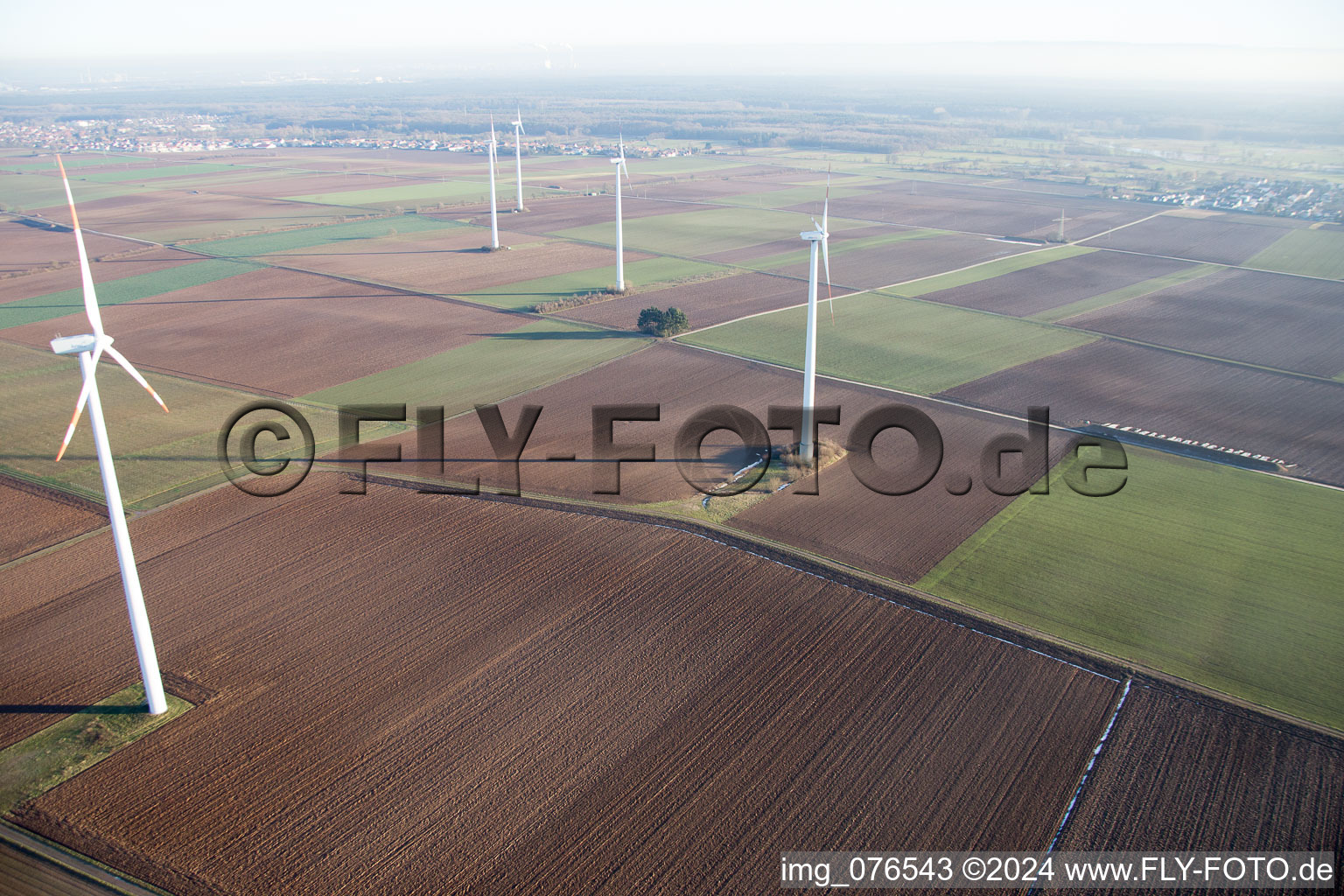 Aerial view of Minfeld in the state Rhineland-Palatinate, Germany