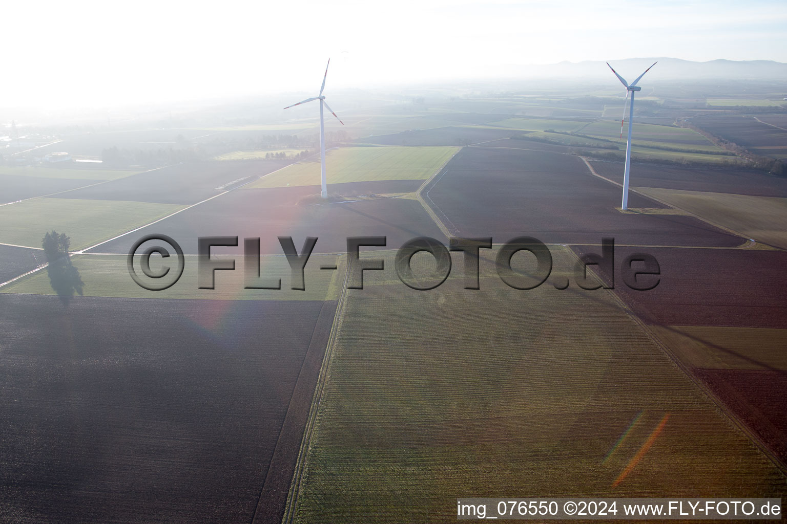 Bird's eye view of Minfeld in the state Rhineland-Palatinate, Germany