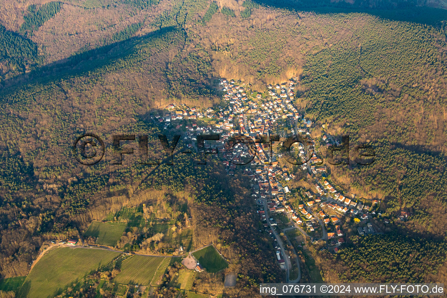 Dörrenbach in the state Rhineland-Palatinate, Germany seen from above