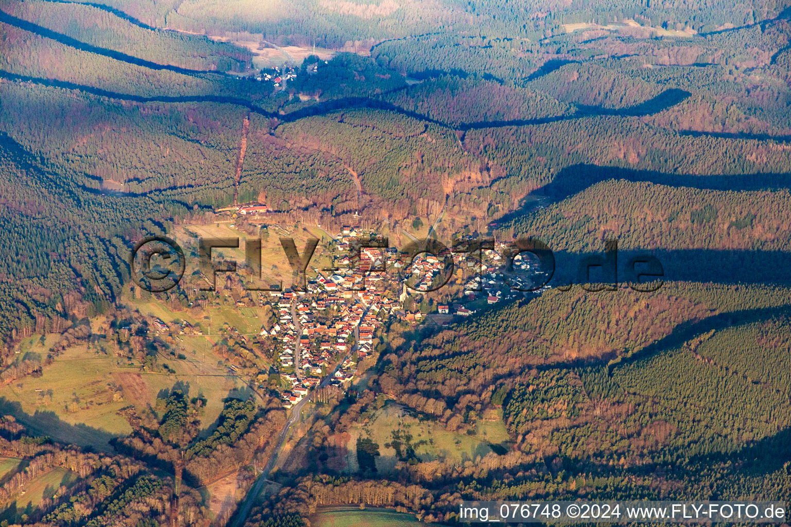 Aerial view of Birkenhördt in the state Rhineland-Palatinate, Germany