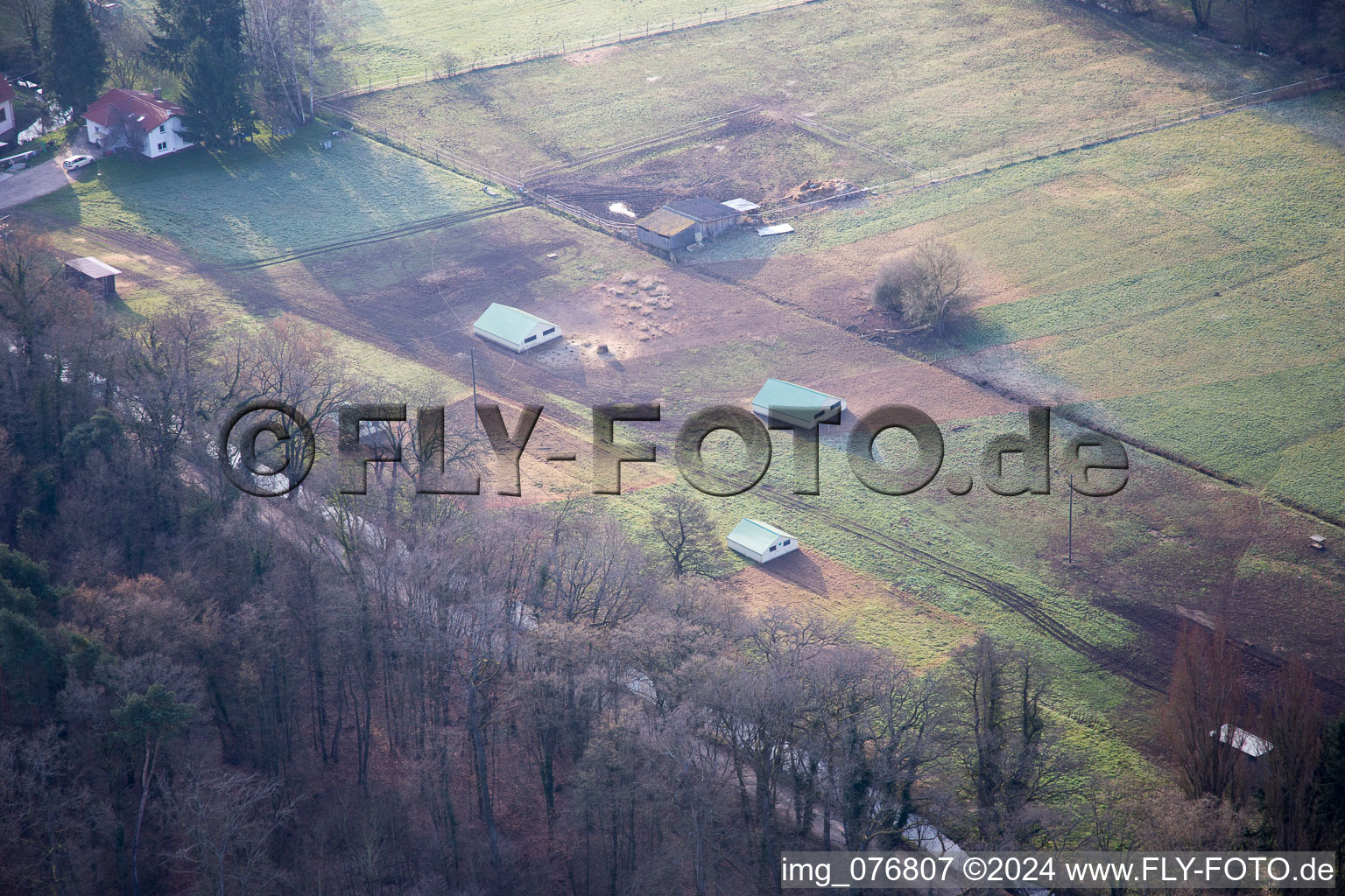 Otterbachtal, organic chicken farm at the Hahnmühle in Kandel in the state Rhineland-Palatinate, Germany