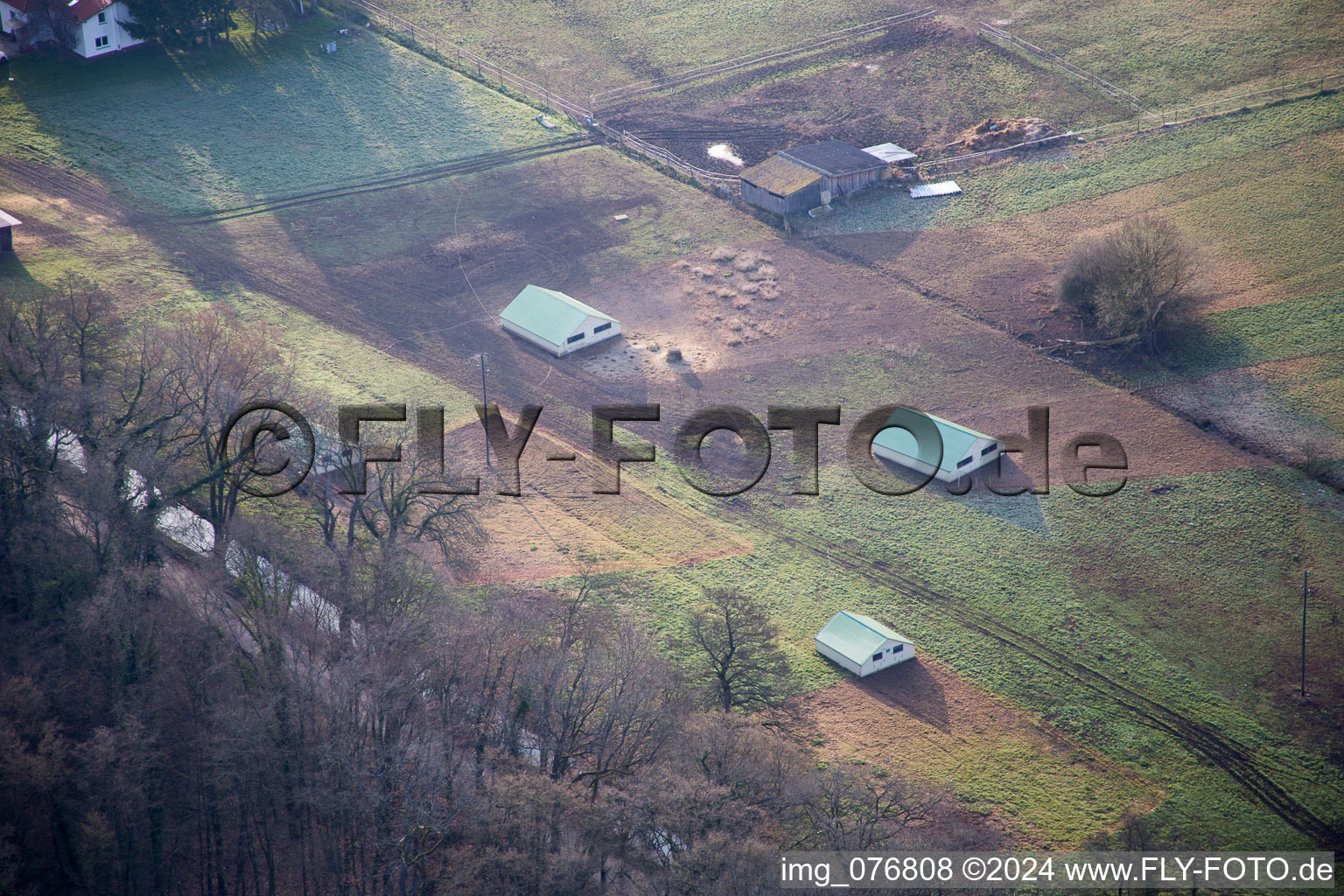 Aerial view of Otterbachtal, organic chicken farm at the Hahnmühle in Kandel in the state Rhineland-Palatinate, Germany