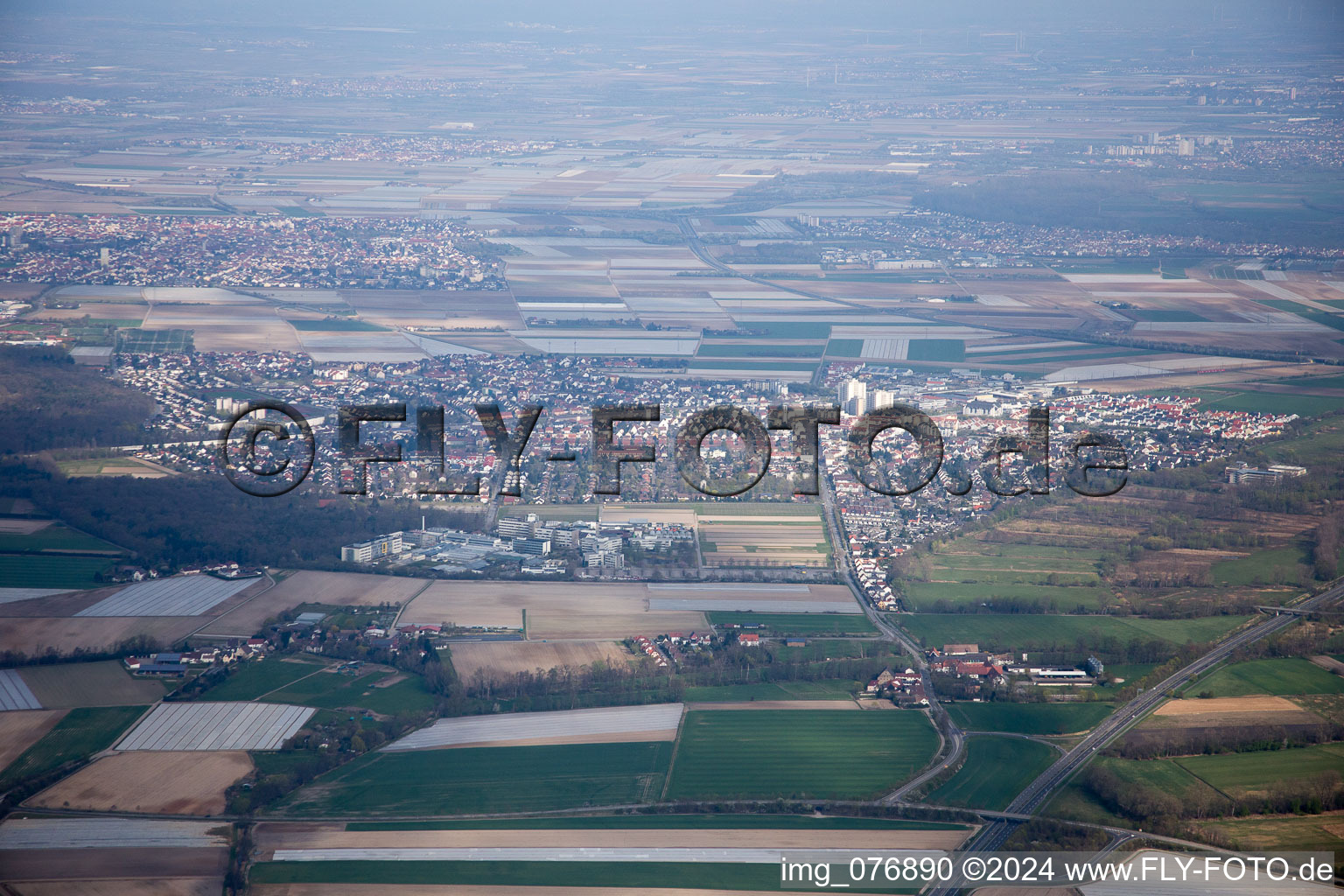 Otterstadt in the state Rhineland-Palatinate, Germany