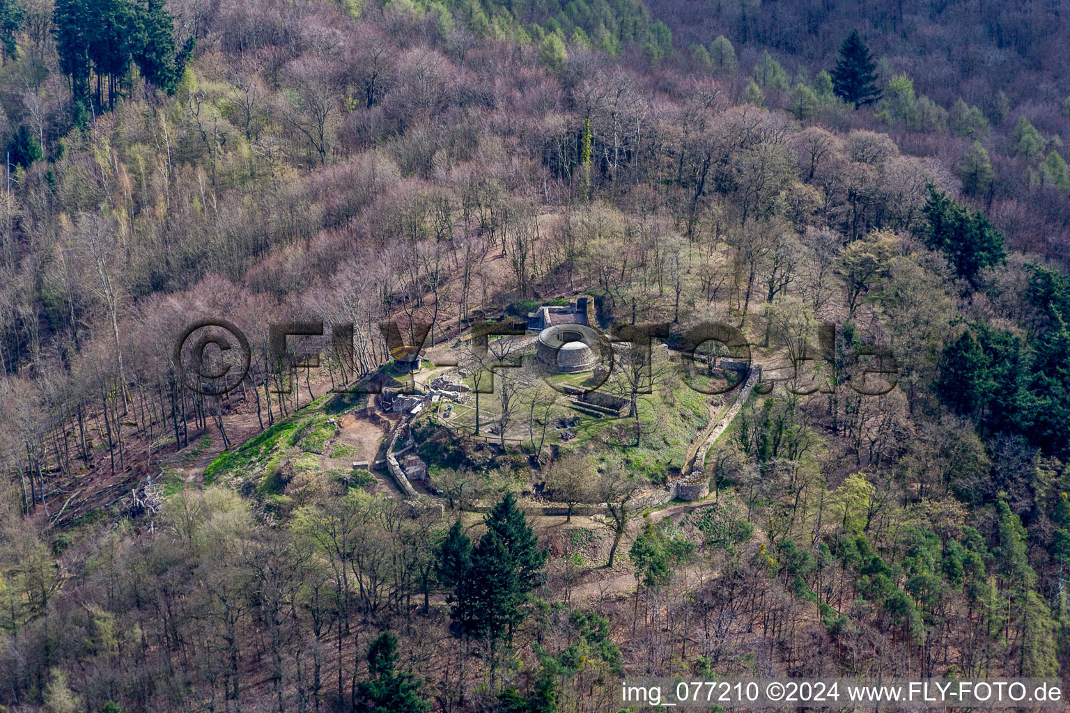 Aerial view of Tannenberg Castle Ruins in Seeheim-Jugenheim in the state Hesse, Germany