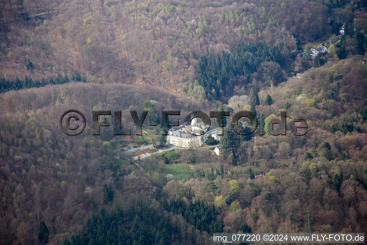 Tannenberg Castle Ruins in Seeheim-Jugenheim in the state Hesse, Germany from above