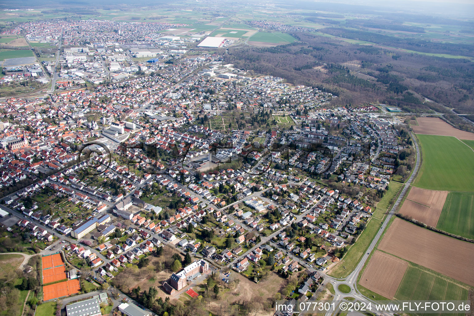 Town View of the streets and houses of the residential areas in Dieburg in the state Hesse