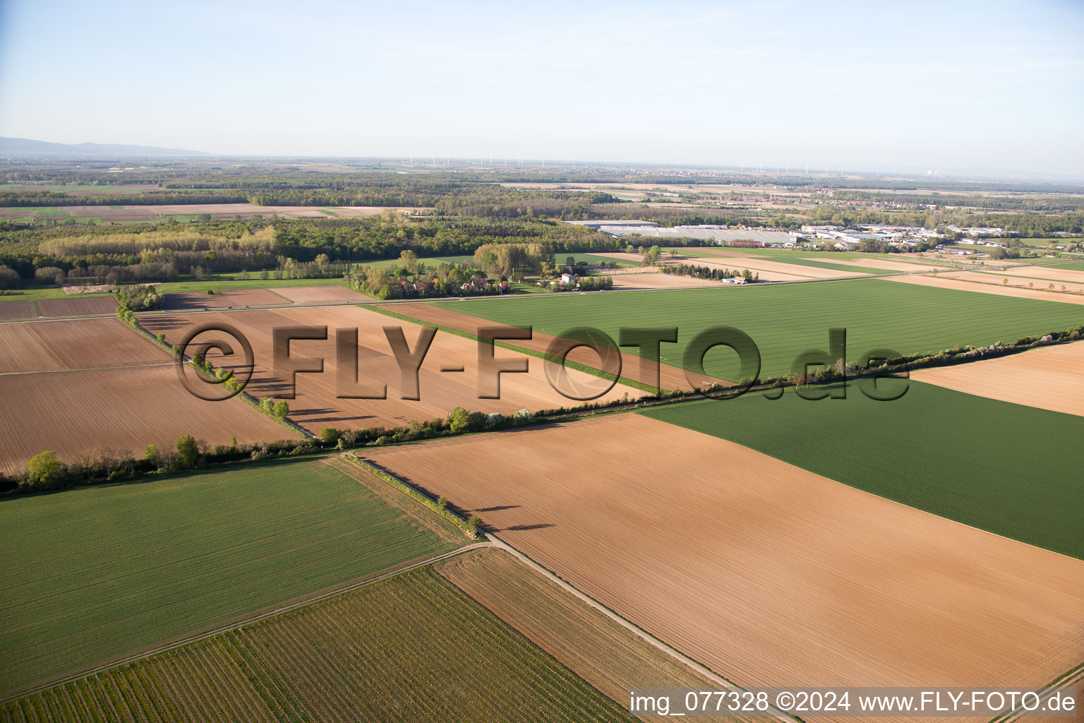 Gallows Hill in Minfeld in the state Rhineland-Palatinate, Germany