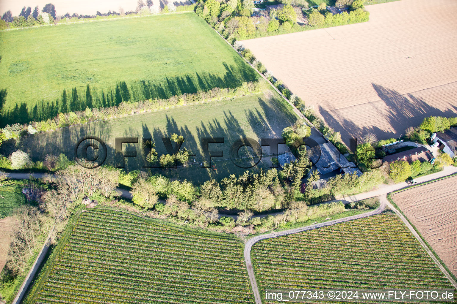 Trakehner paddock in Minfeld in the state Rhineland-Palatinate, Germany seen from above