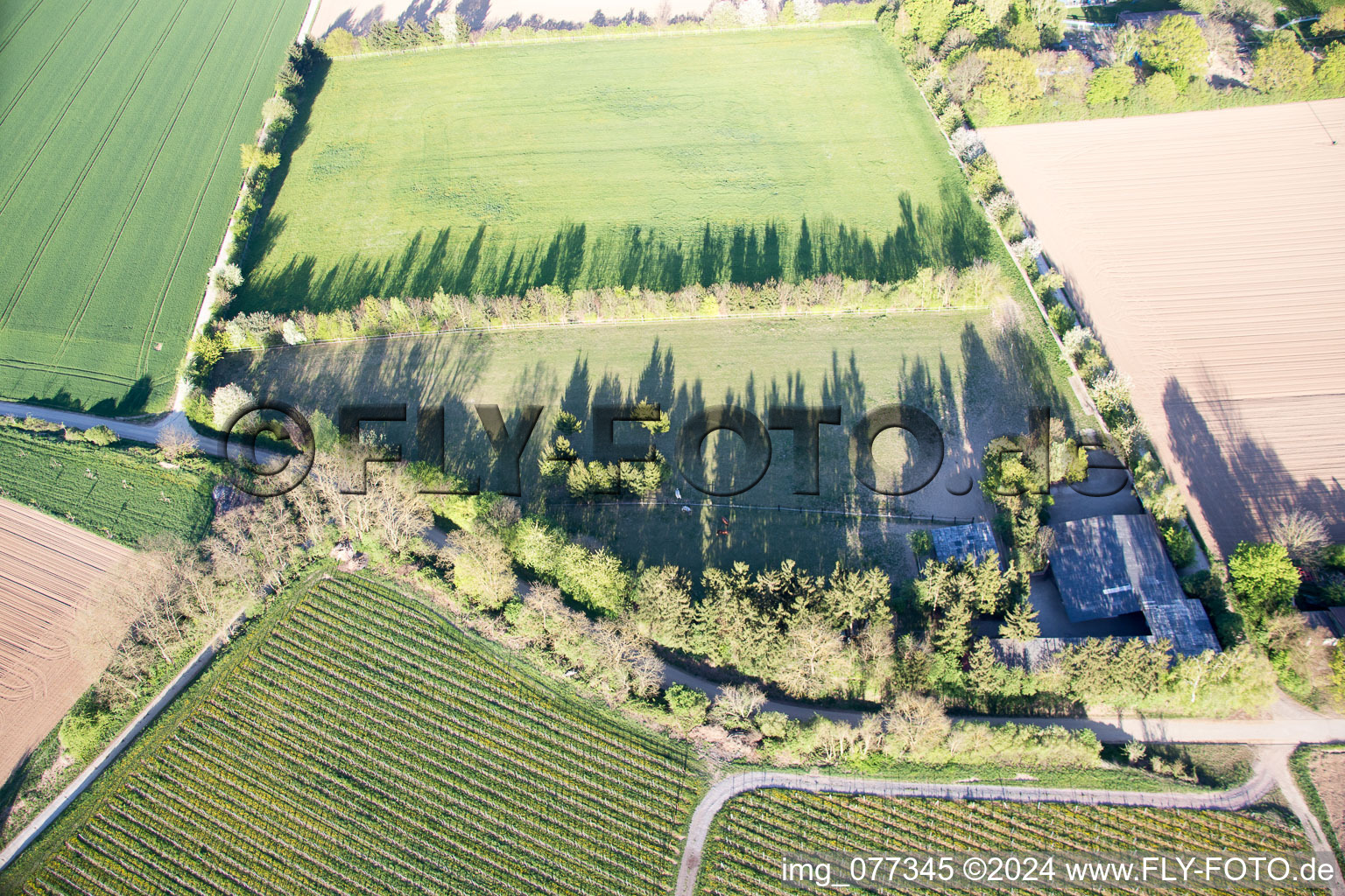 Trakehner paddock in Minfeld in the state Rhineland-Palatinate, Germany from the plane