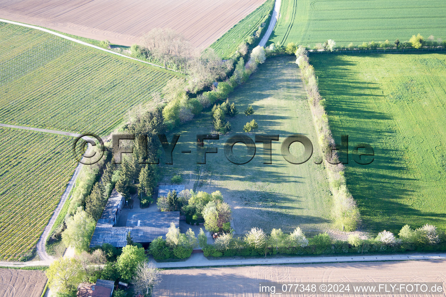 Bird's eye view of Trakehner paddock in Minfeld in the state Rhineland-Palatinate, Germany