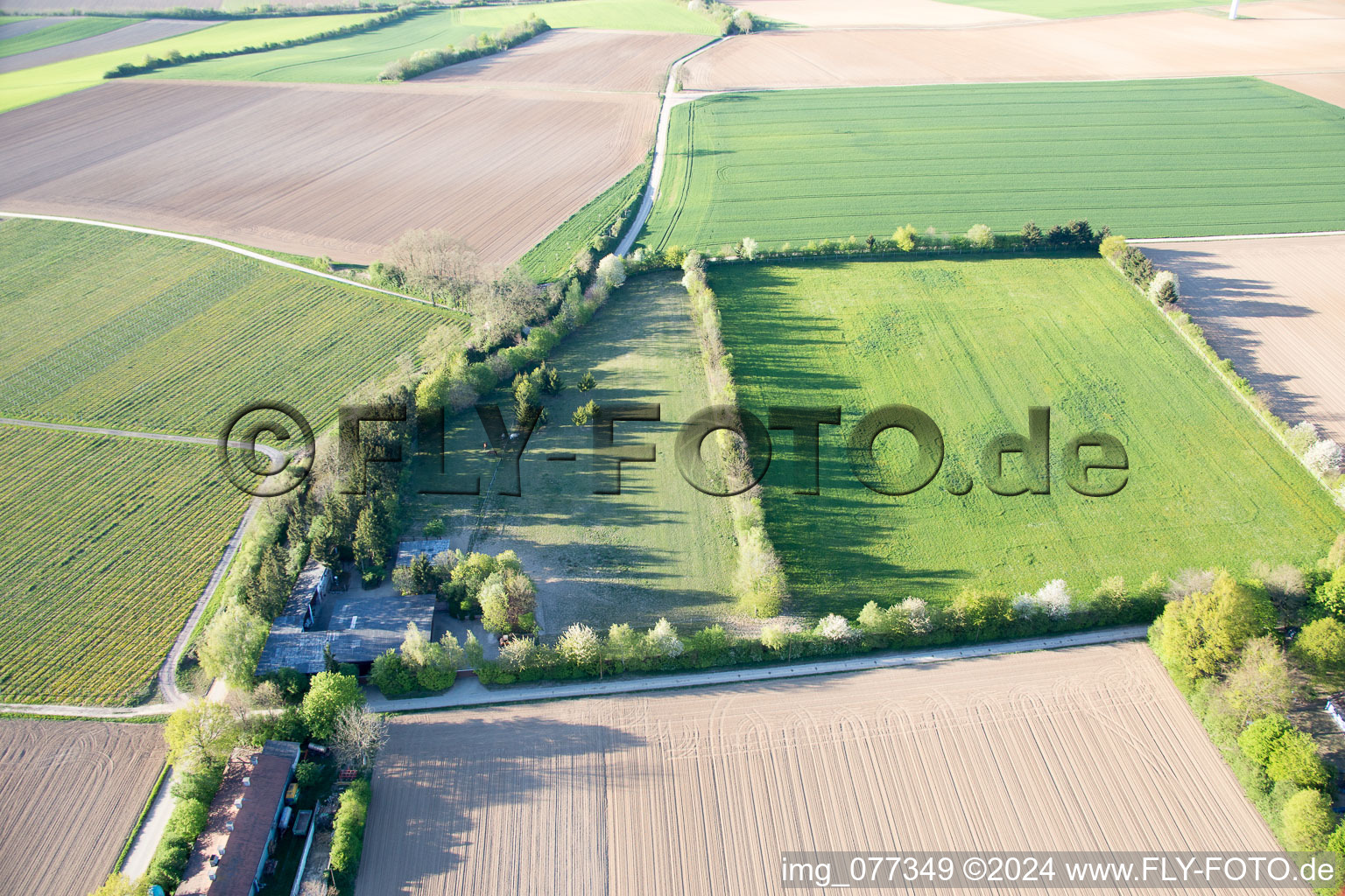 Trakehner paddock in Minfeld in the state Rhineland-Palatinate, Germany viewn from the air