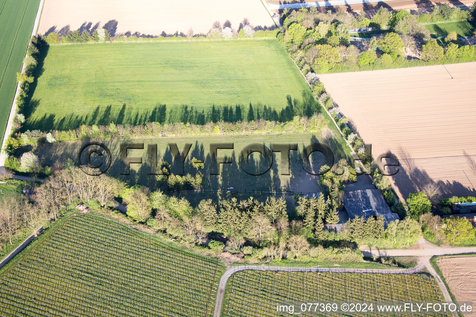 Aerial view of Trakehner paddock in Minfeld in the state Rhineland-Palatinate, Germany