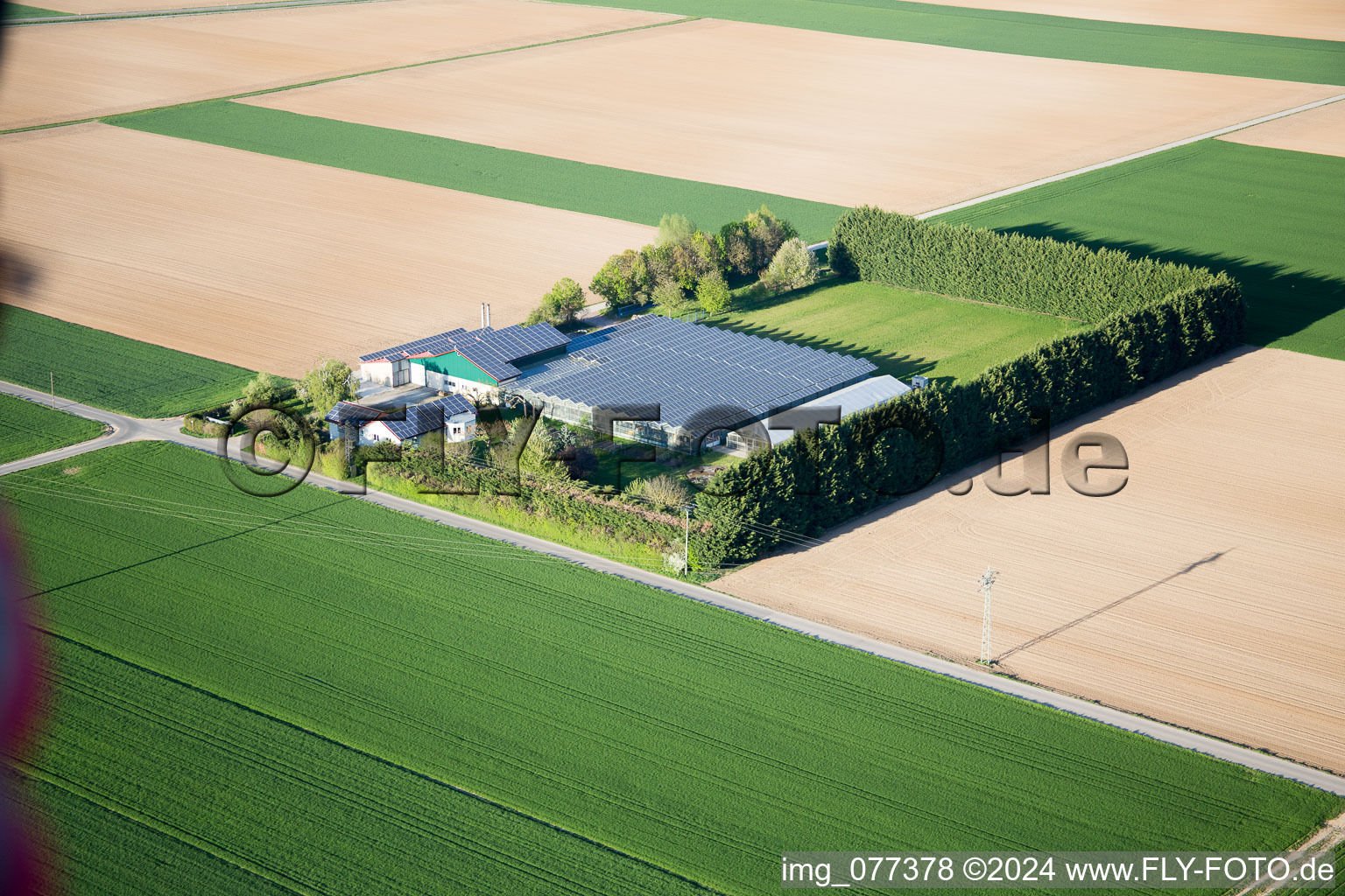 Bird's eye view of Steinweiler in the state Rhineland-Palatinate, Germany