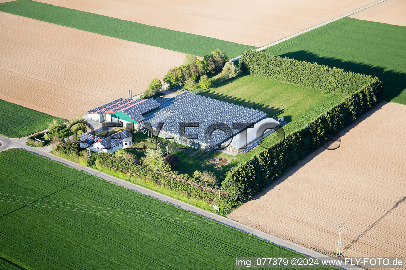 Steinweiler in the state Rhineland-Palatinate, Germany viewn from the air