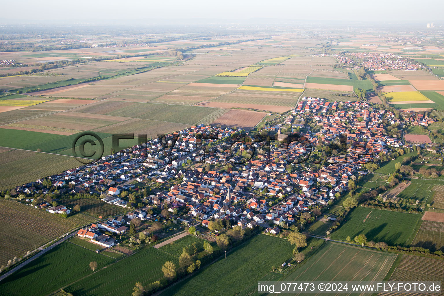 Essingen in the state Rhineland-Palatinate, Germany