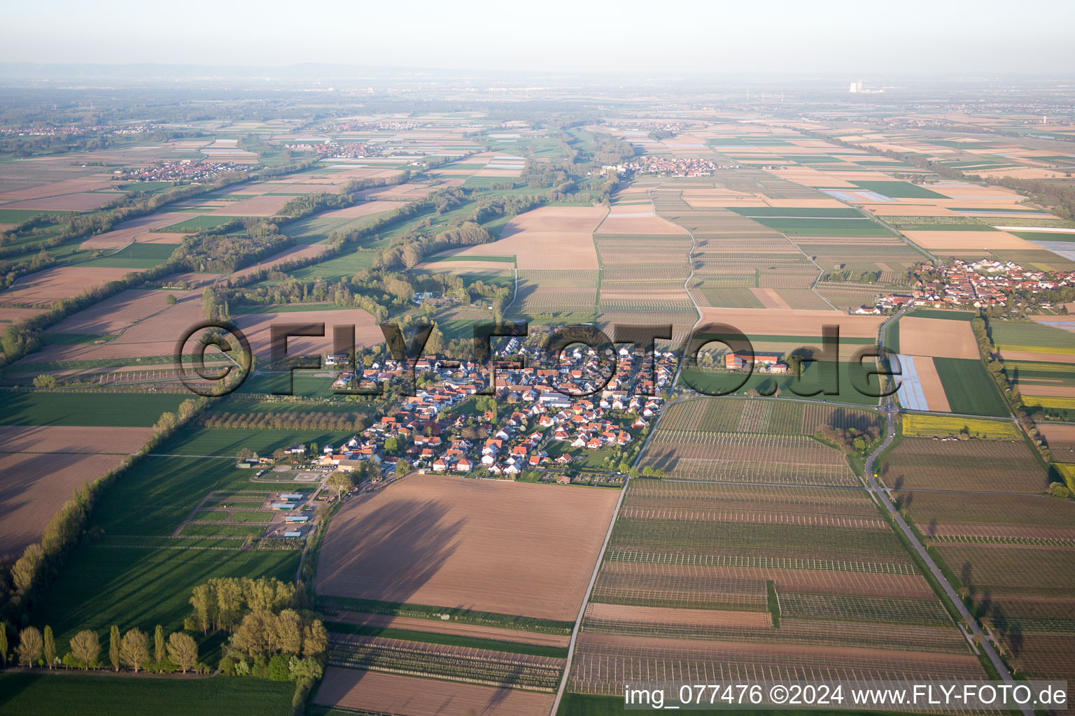 Großfischlingen in the state Rhineland-Palatinate, Germany