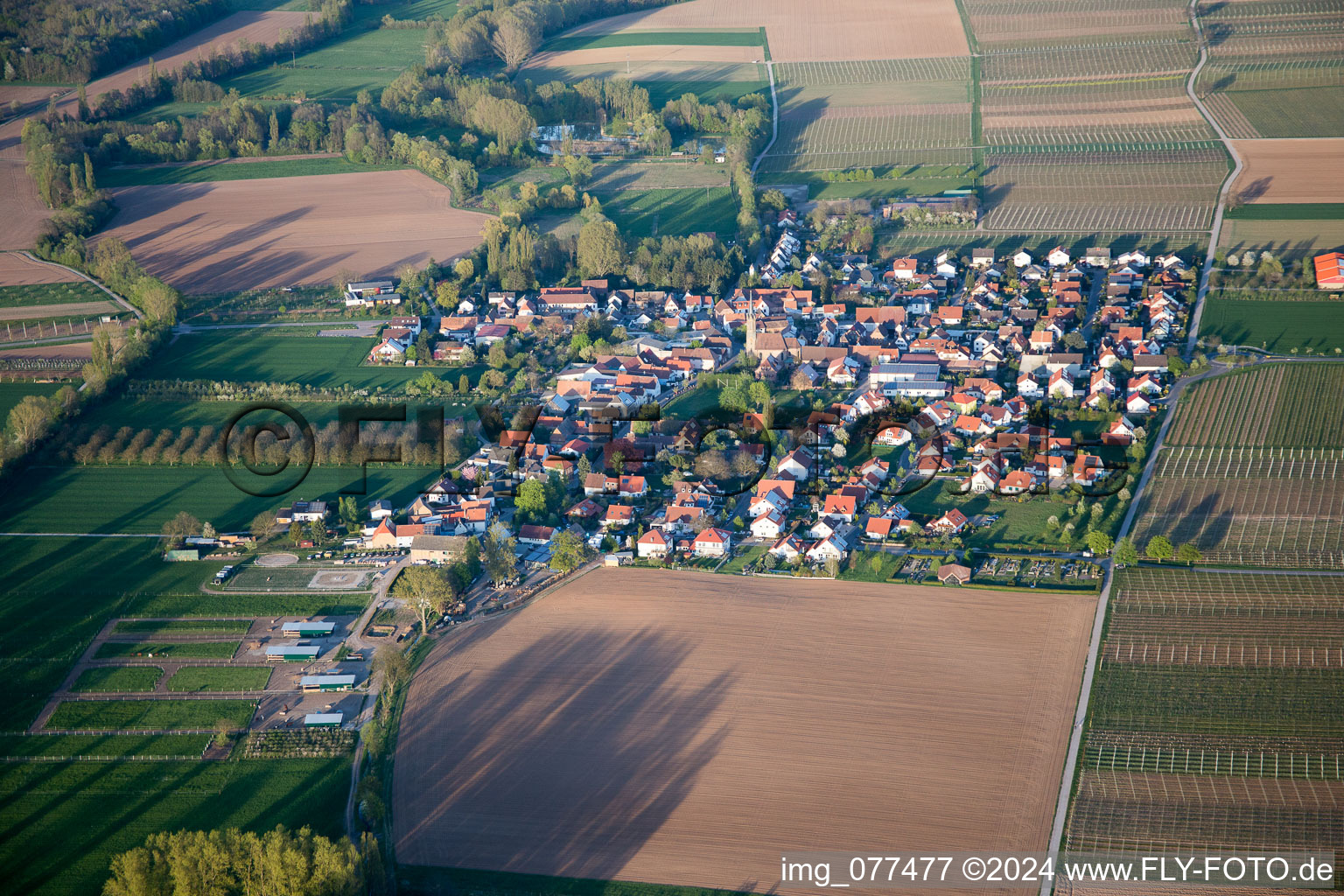 Aerial view of Großfischlingen in the state Rhineland-Palatinate, Germany