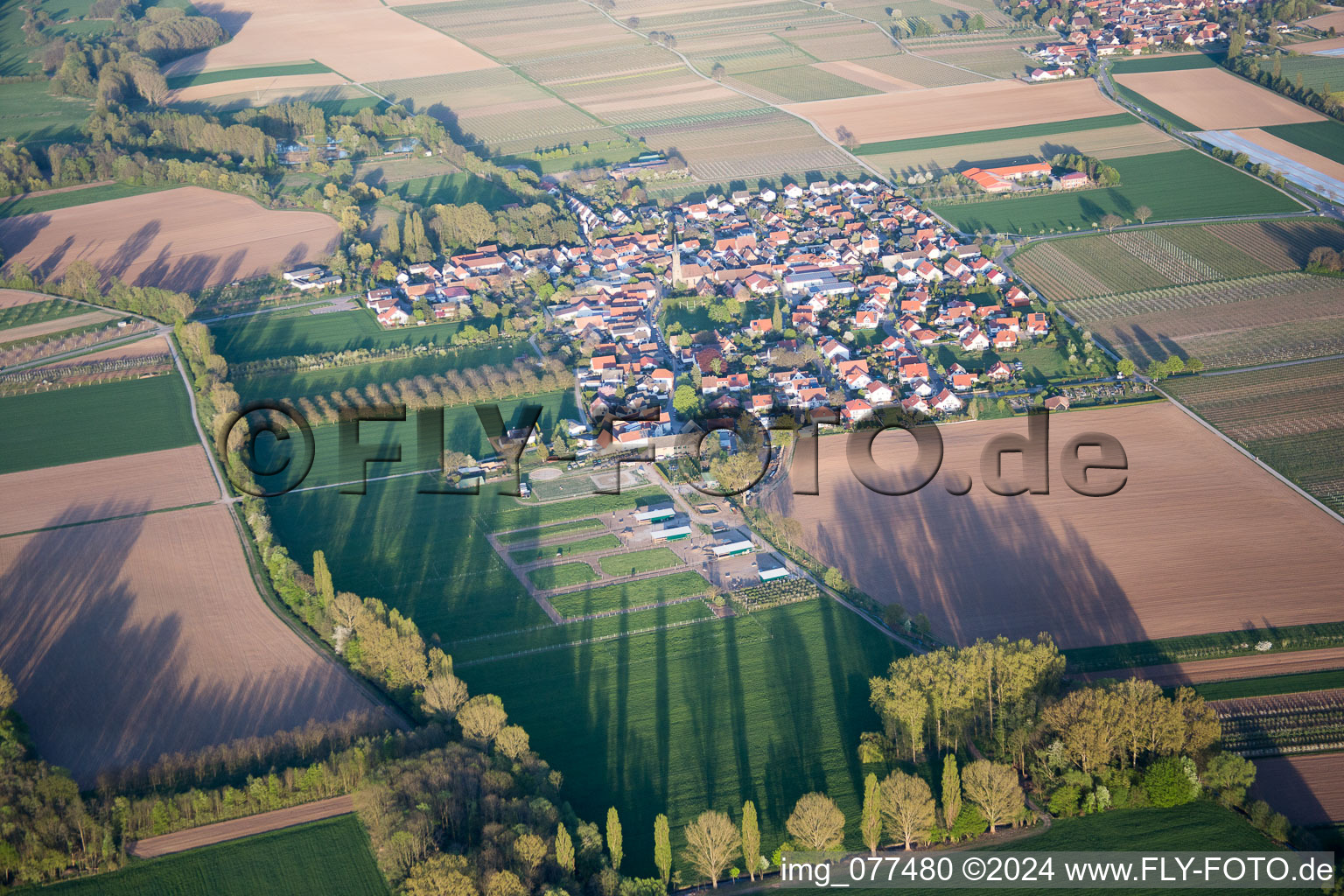 Oblique view of Großfischlingen in the state Rhineland-Palatinate, Germany