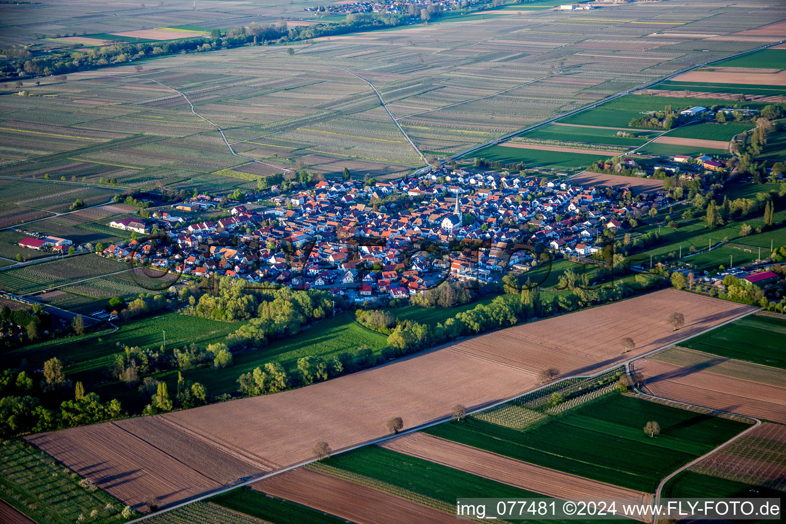 Village - view on the edge of agricultural fields and farmland in Venningen in the state Rhineland-Palatinate, Germany