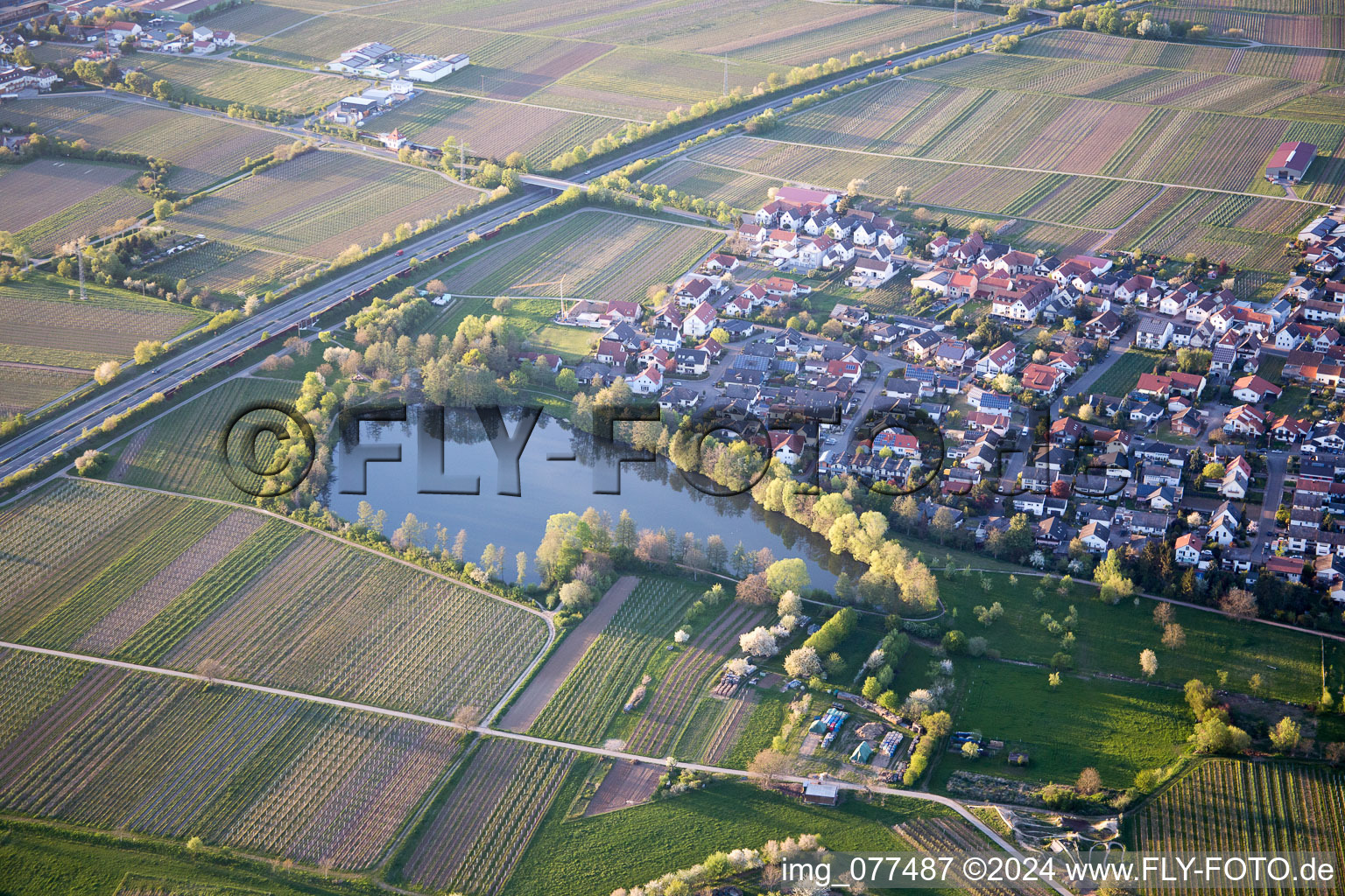 Kirrweiler in the state Rhineland-Palatinate, Germany