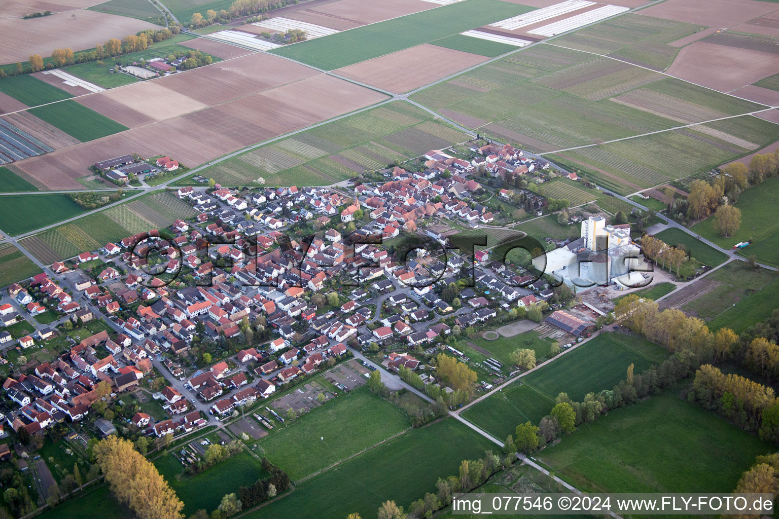 Freimersheim in Freimersheim in the state Rhineland-Palatinate, Germany