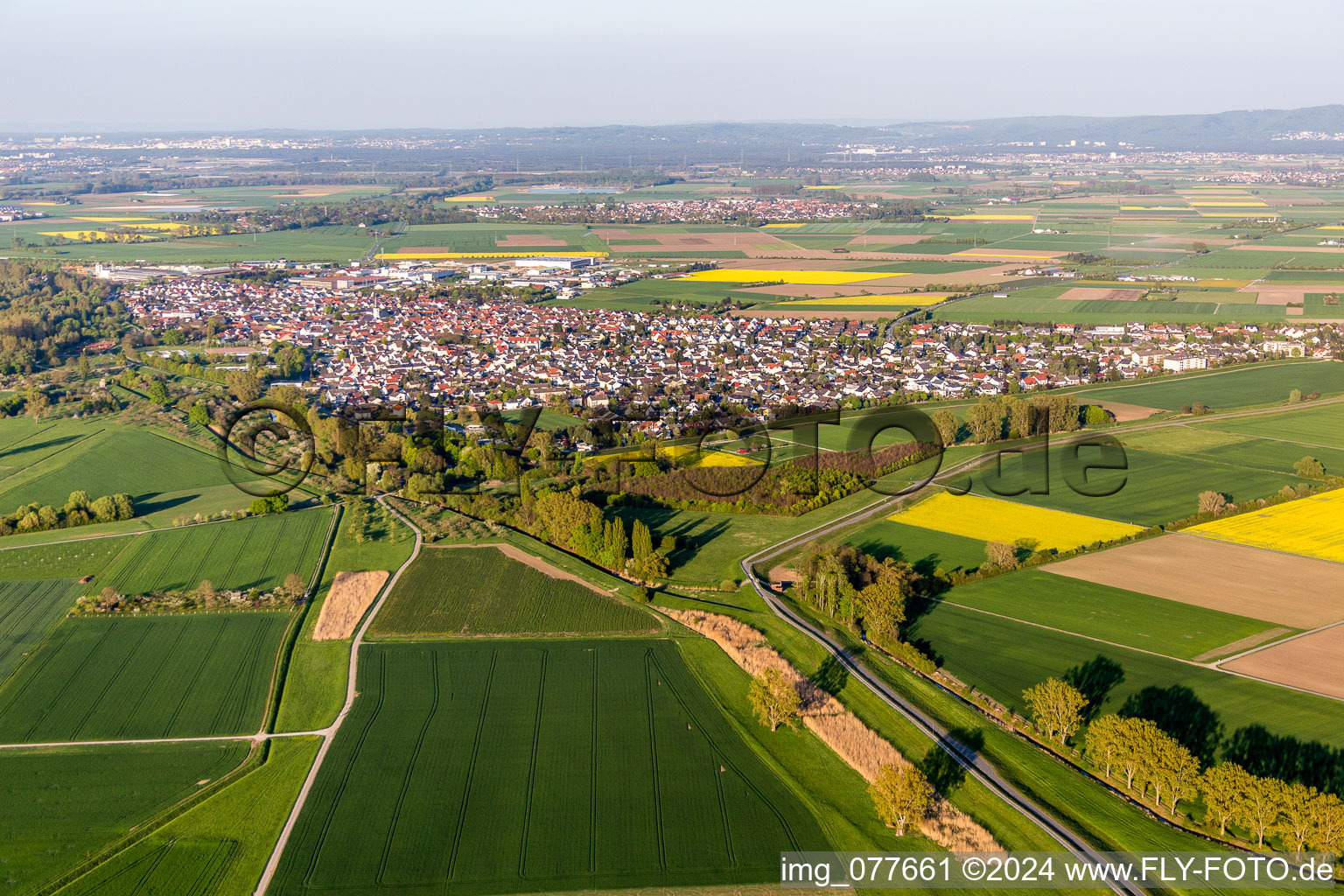 Town View of the streets and houses of the residential areas in Stockstadt am Rhein in the state Hesse, Germany