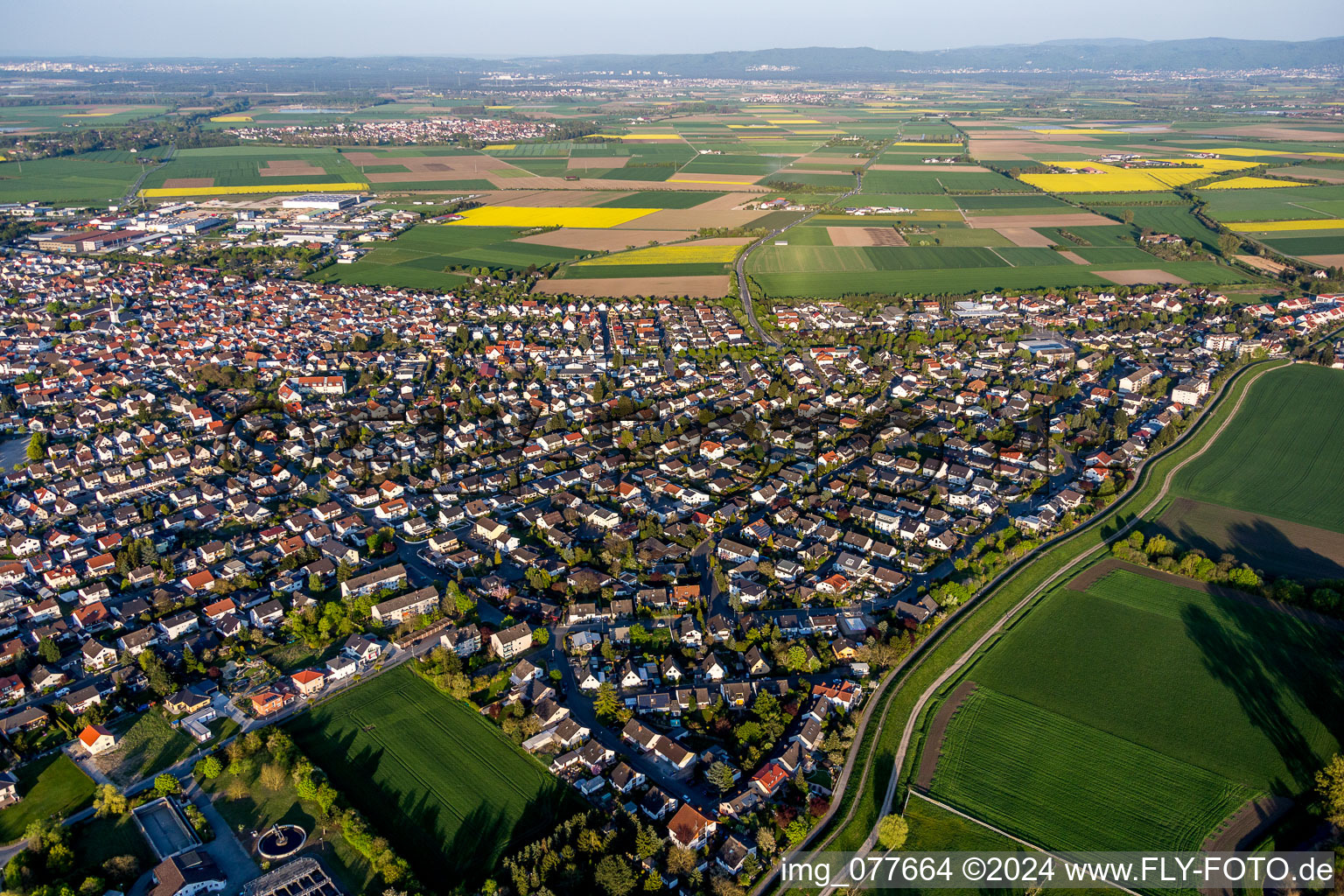 Aerial view of Town View of the streets and houses of the residential areas in Stockstadt am Rhein in the state Hesse, Germany