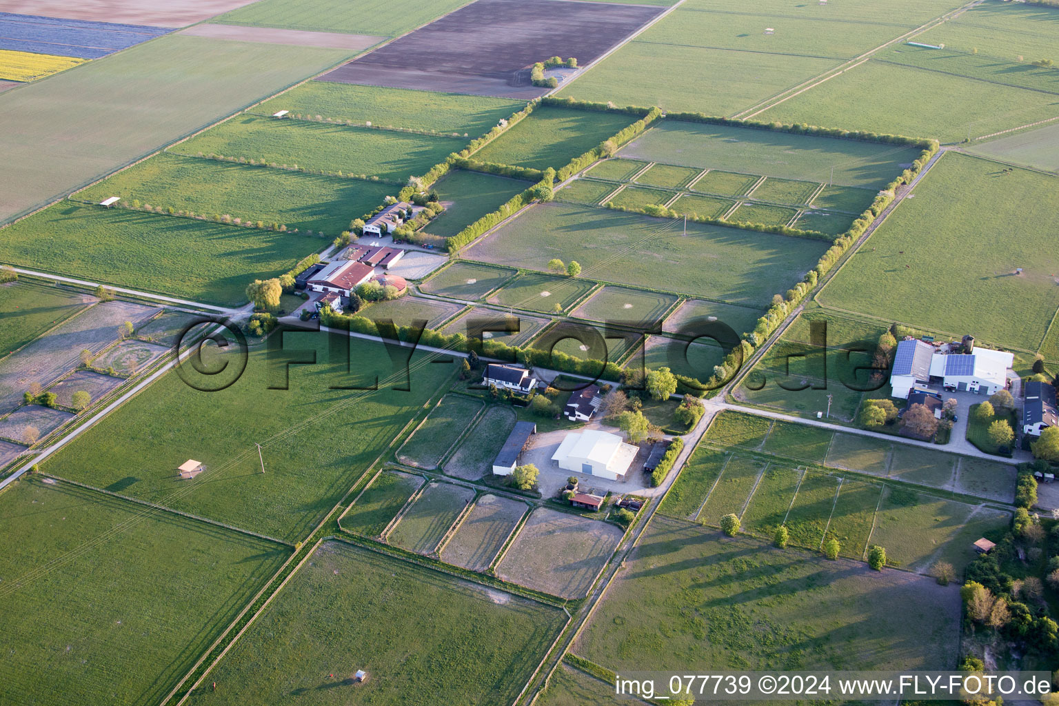 Bird's eye view of Gernsheim in the state Hesse, Germany