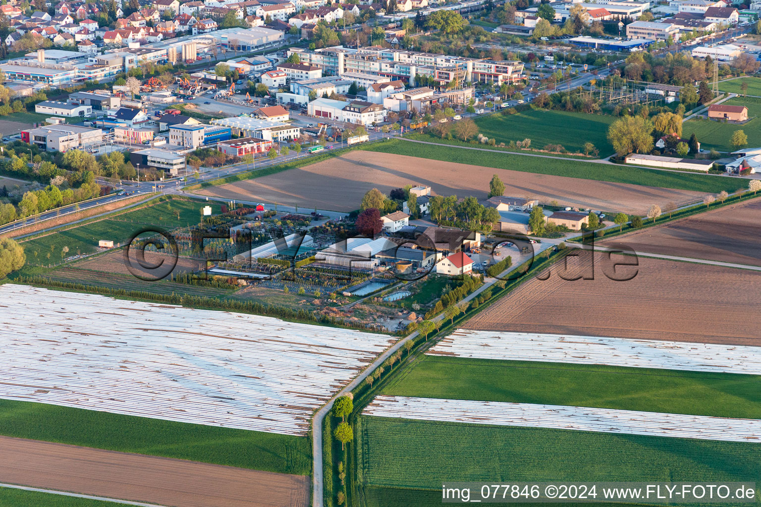 Glass roof surfaces in the greenhouse rows for Floriculture in the district Auerbach in Bensheim in the state Hesse, Germany