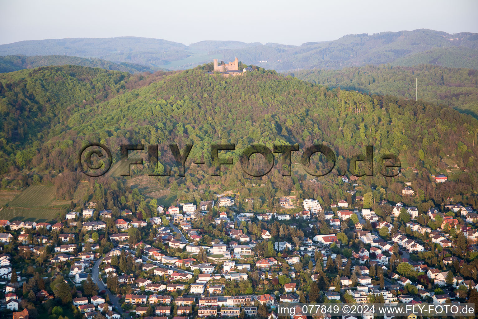 Aerial view of Town View of the streets and houses of the residential areas in the district Auerbach in Bensheim in the state Hesse