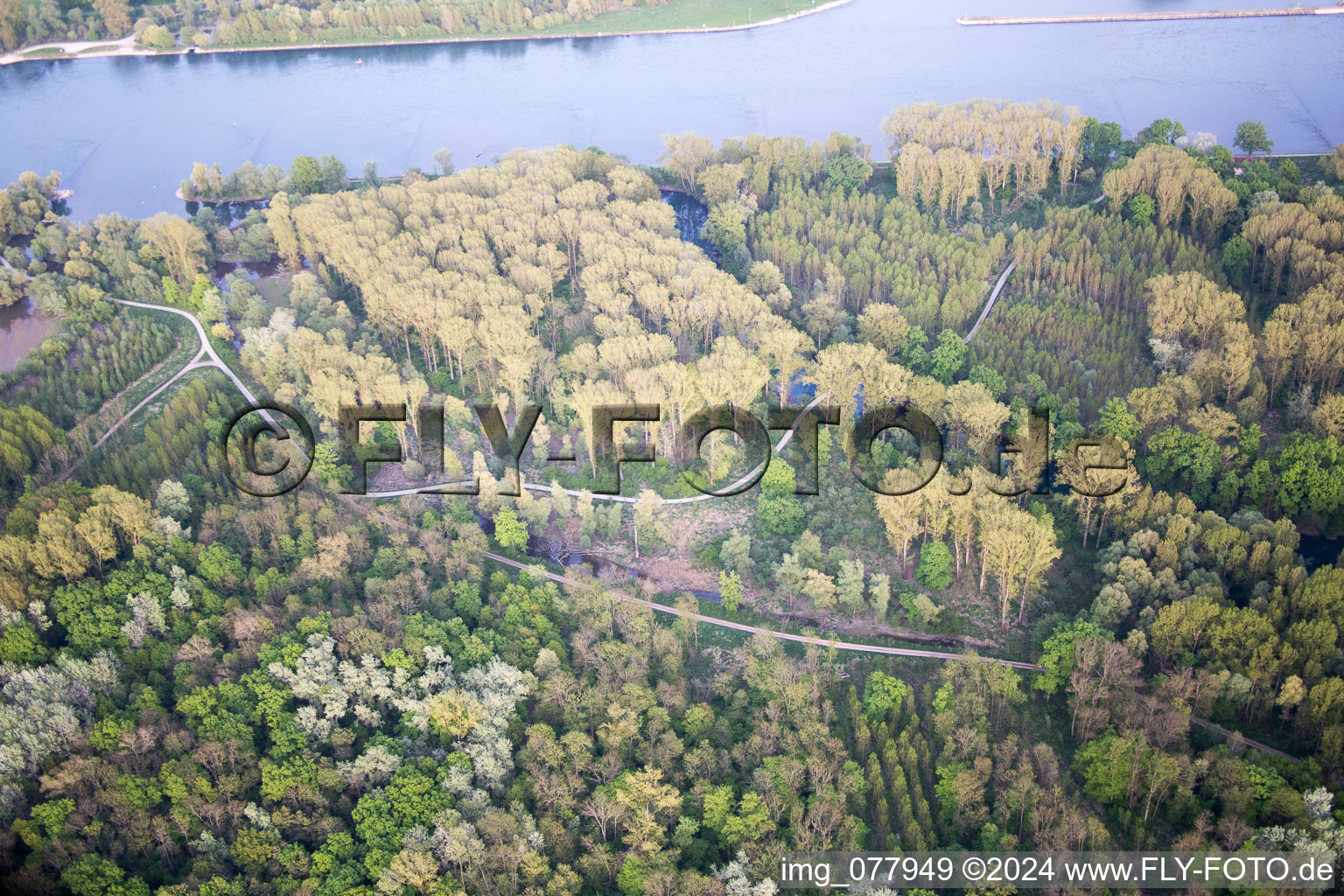 Aerial view of District Maximiliansau in Wörth am Rhein in the state Rhineland-Palatinate, Germany